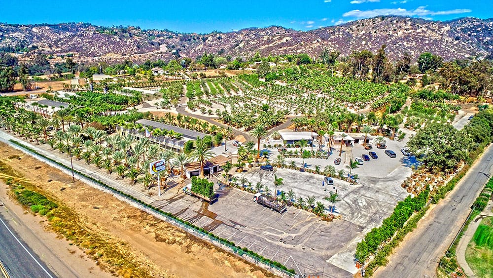 25 years of Moon Valley Nurseries and How We Got Started